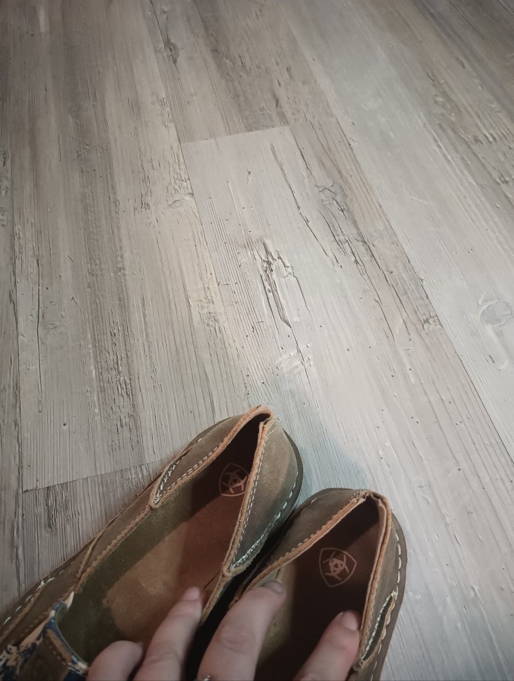 Ariat - Picture 9 of 11